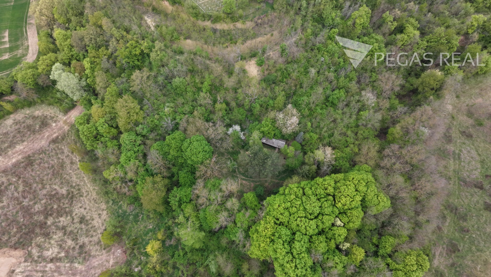 Chata na samote. Pozemok 5402m2, Ratnovce, pri Piešťanoch.