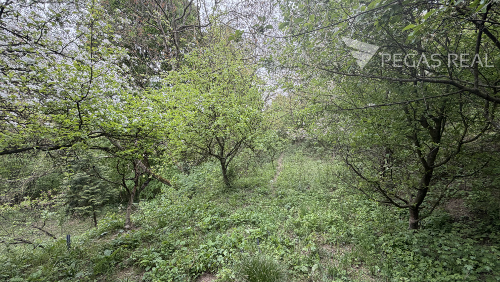 Chata na samote. Pozemok 5402m2, Ratnovce, pri Piešťanoch.