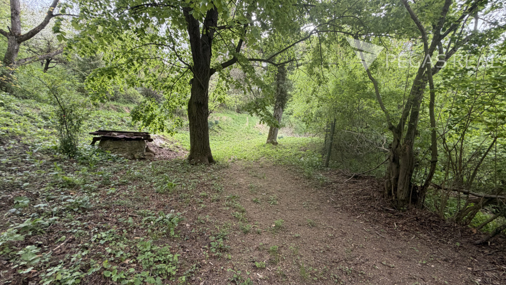 Chata na samote. Pozemok 5402m2, Ratnovce, pri Piešťanoch.